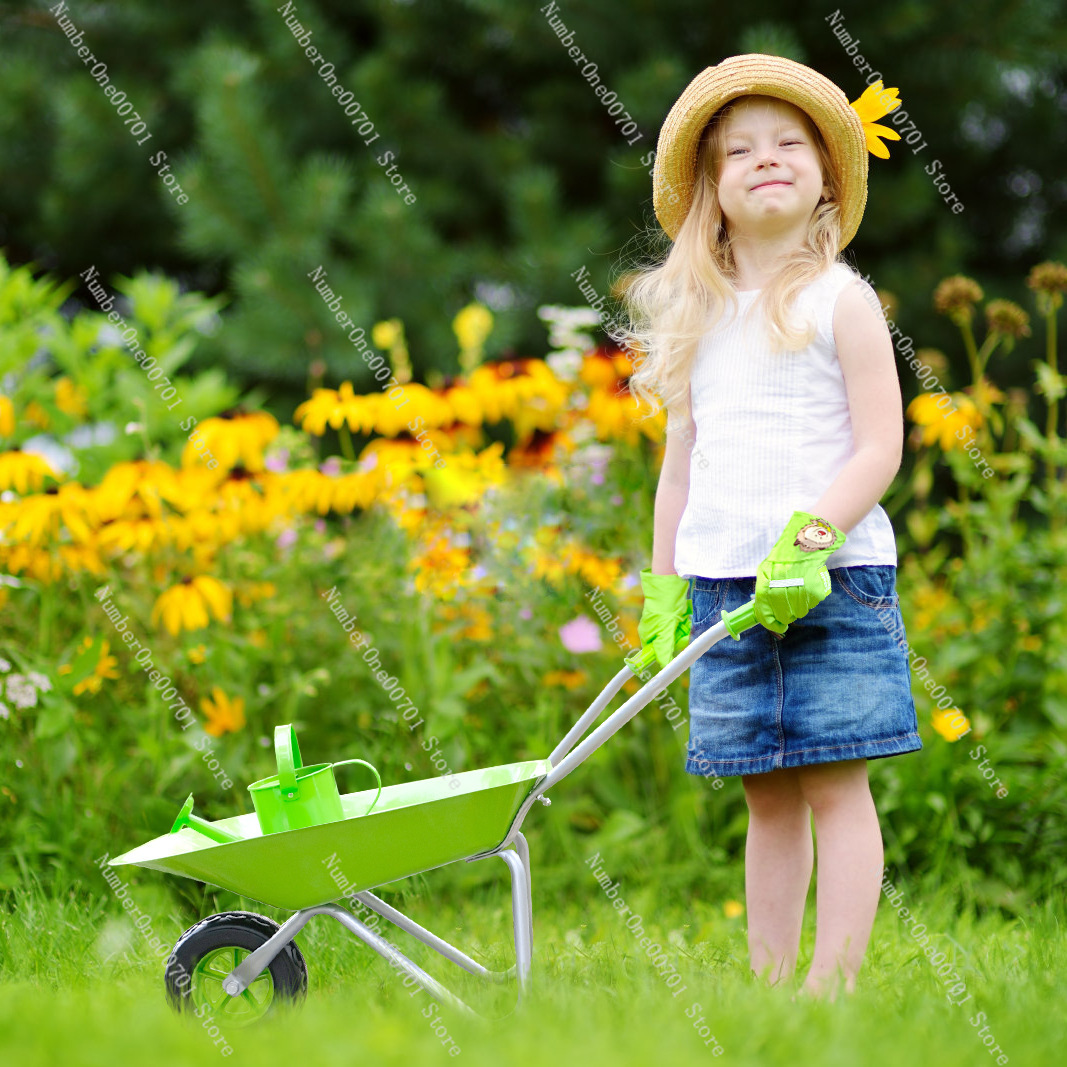 Kids Outdoor Wheelbarrow, Gree - đánh giá và giá Kids Outdoor Activities