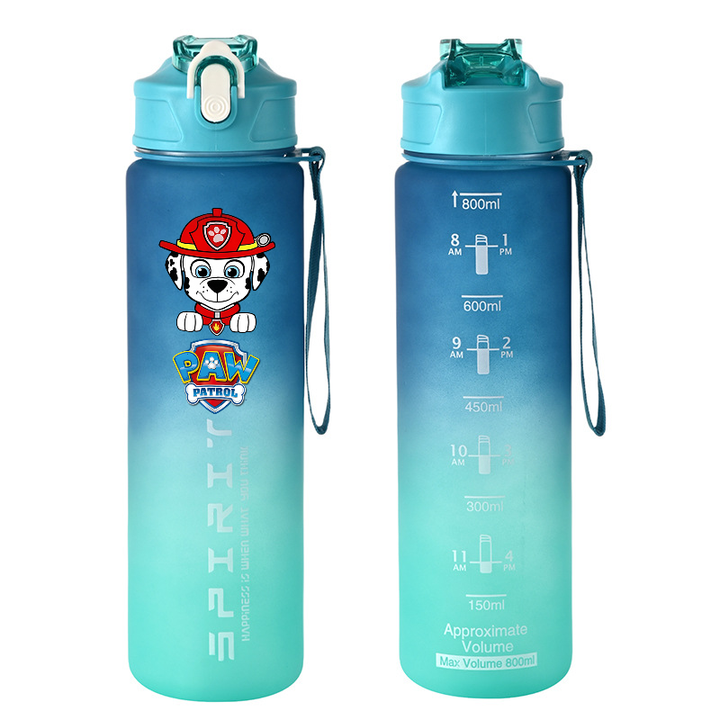 800ml PAW Patrol Sports Water  - đánh giá và giá Kids Outdoor Kitchen Accessories